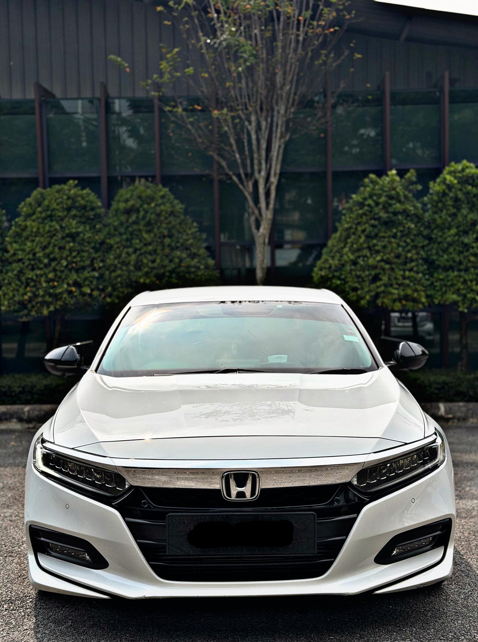 HONDA ACCORD 1.5 TC TURBO AUTO - Image 3