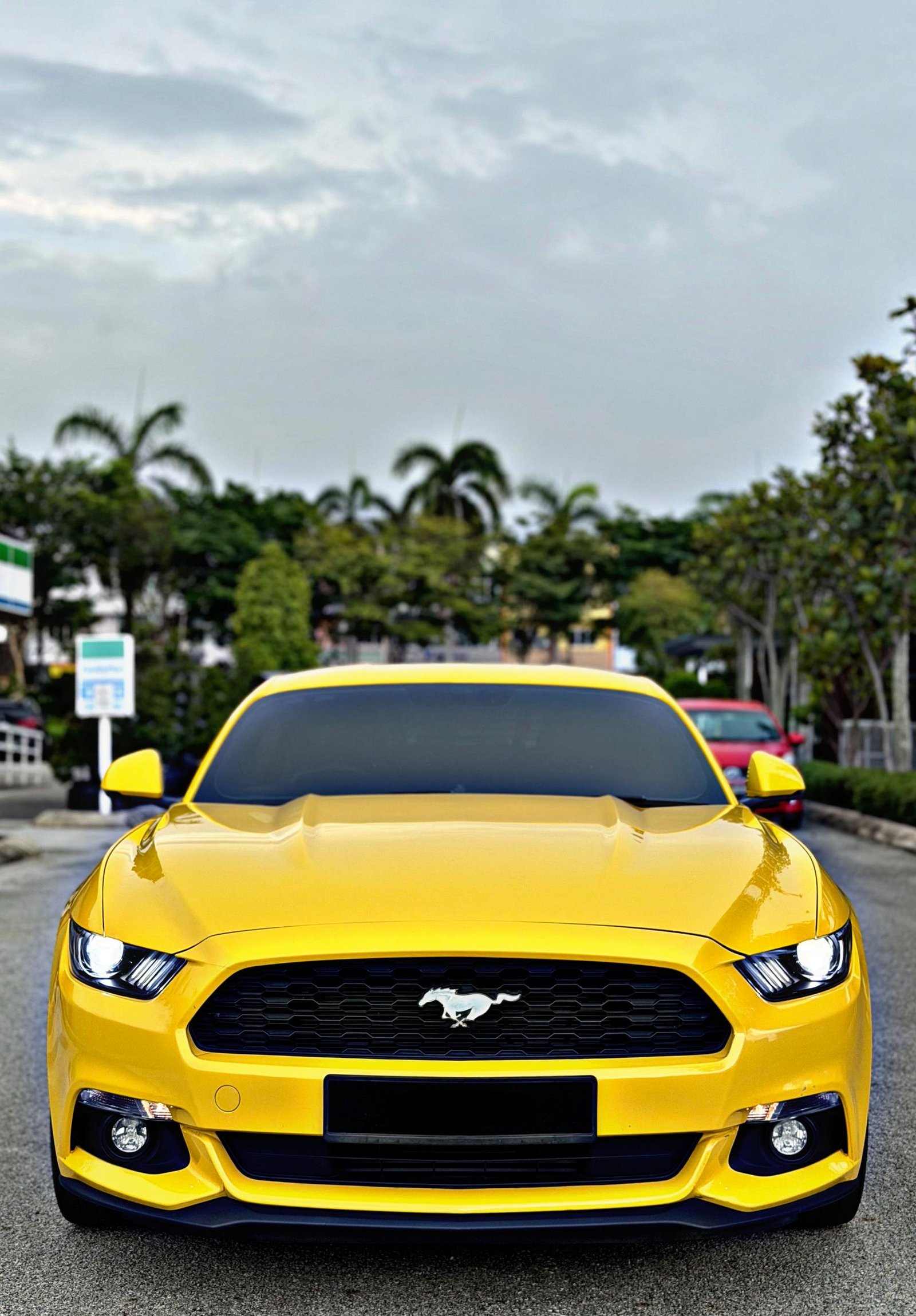 FORD MUSTANG 2.3 ECOBOOST (A) - Image 3