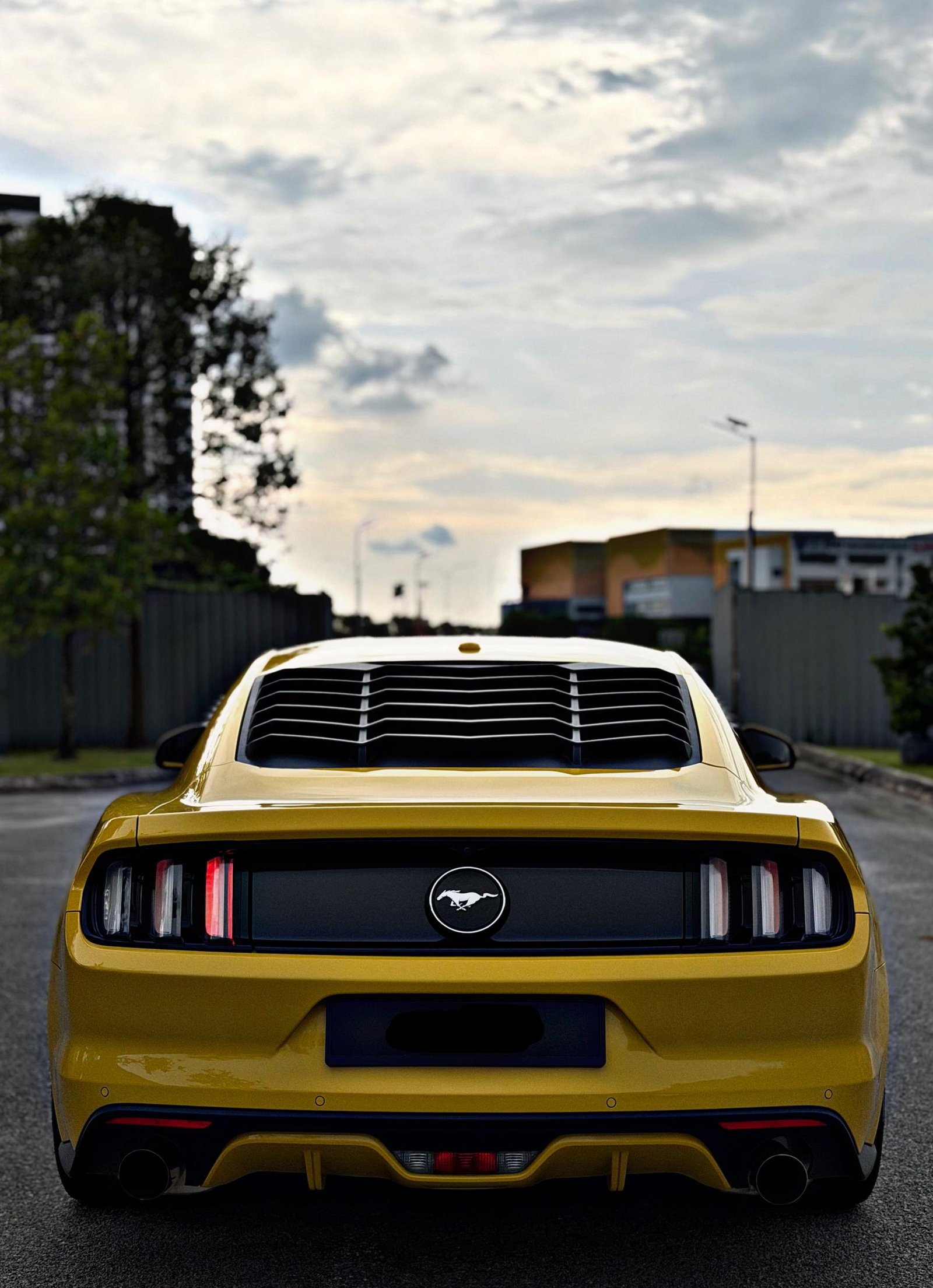 FORD MUSTANG 2.3 ECOBOOST (A) - Image 4